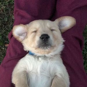 Meet your Posher, Julie